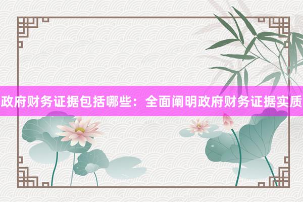 政府财务证据包括哪些：全面阐明政府财务证据实质