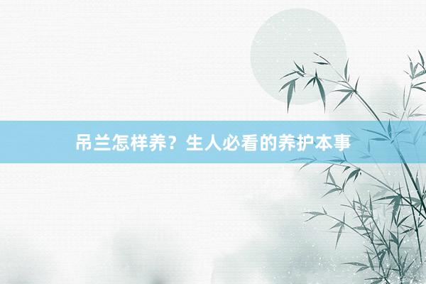 吊兰怎样养？生人必看的养护本事